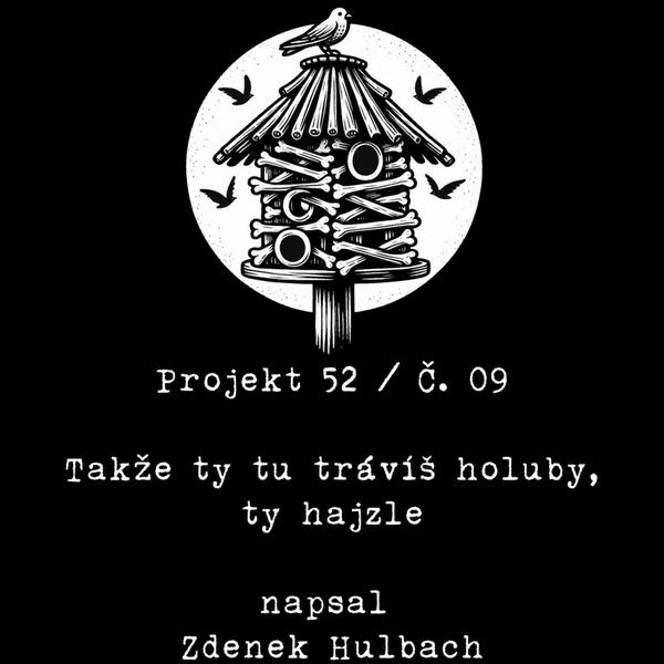 Projekt 52
